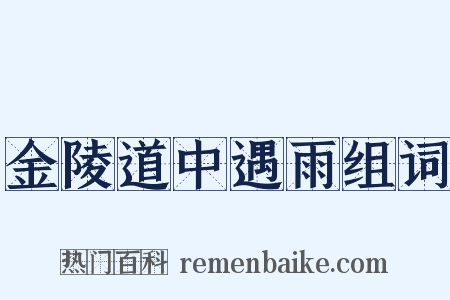 金陵道中遇雨组词是什么意思的图片
